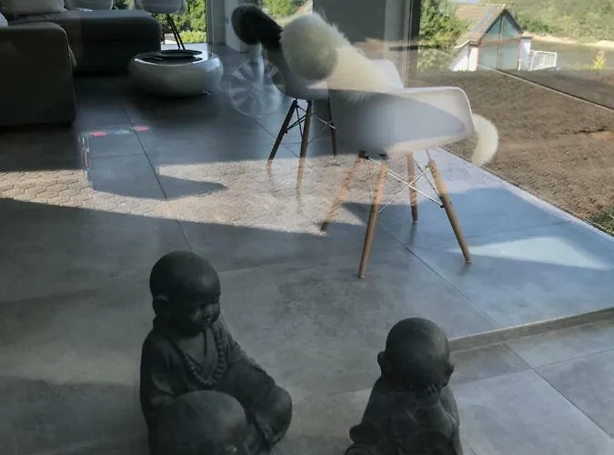 Jidajo Nationalpark Eifel Simmerath